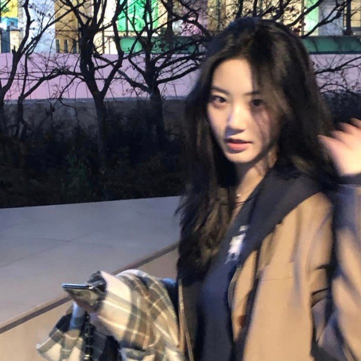 天鹅公主的圣诞节